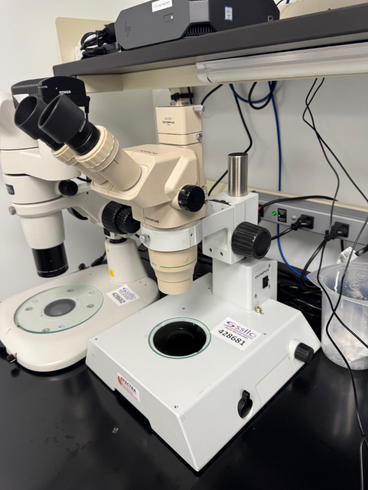 Image of Olympus SZX Stereo Microscope